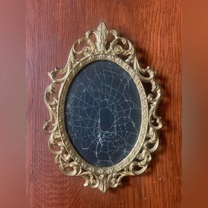 Spiderweb in a Elegant Gold Ornate Wall Frame